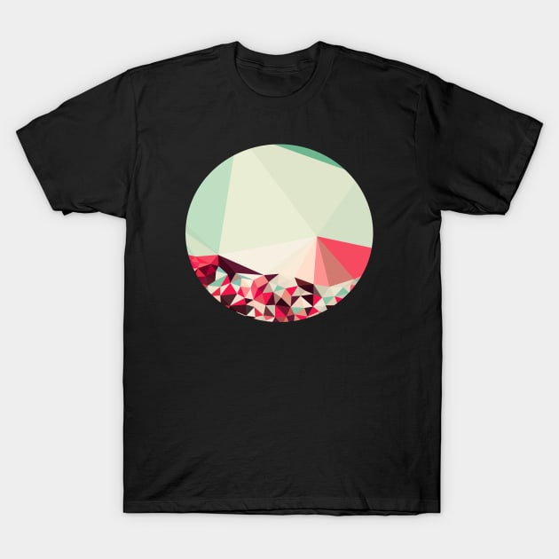 Poppy Field Tris T-Shirt by Beth Thompson Art